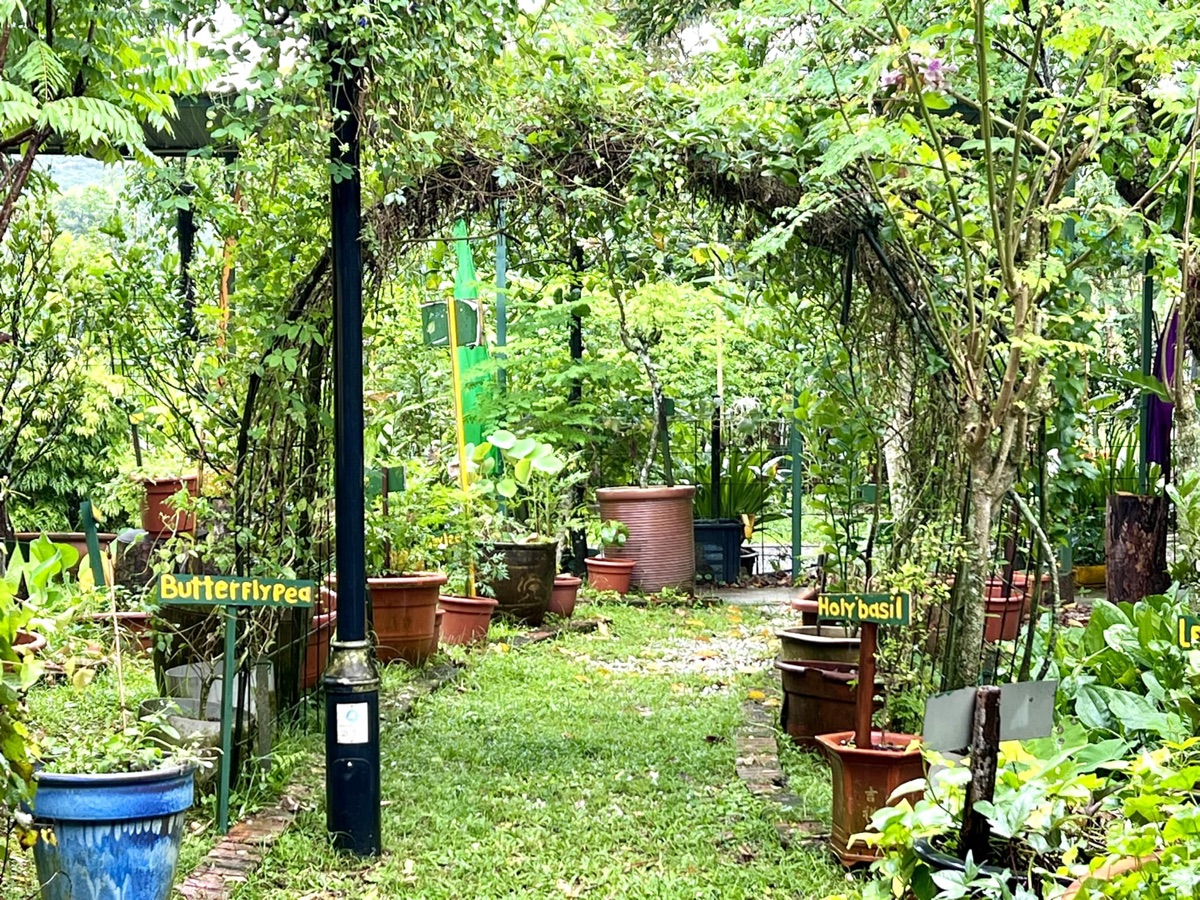 Poison Ivy Bistro
