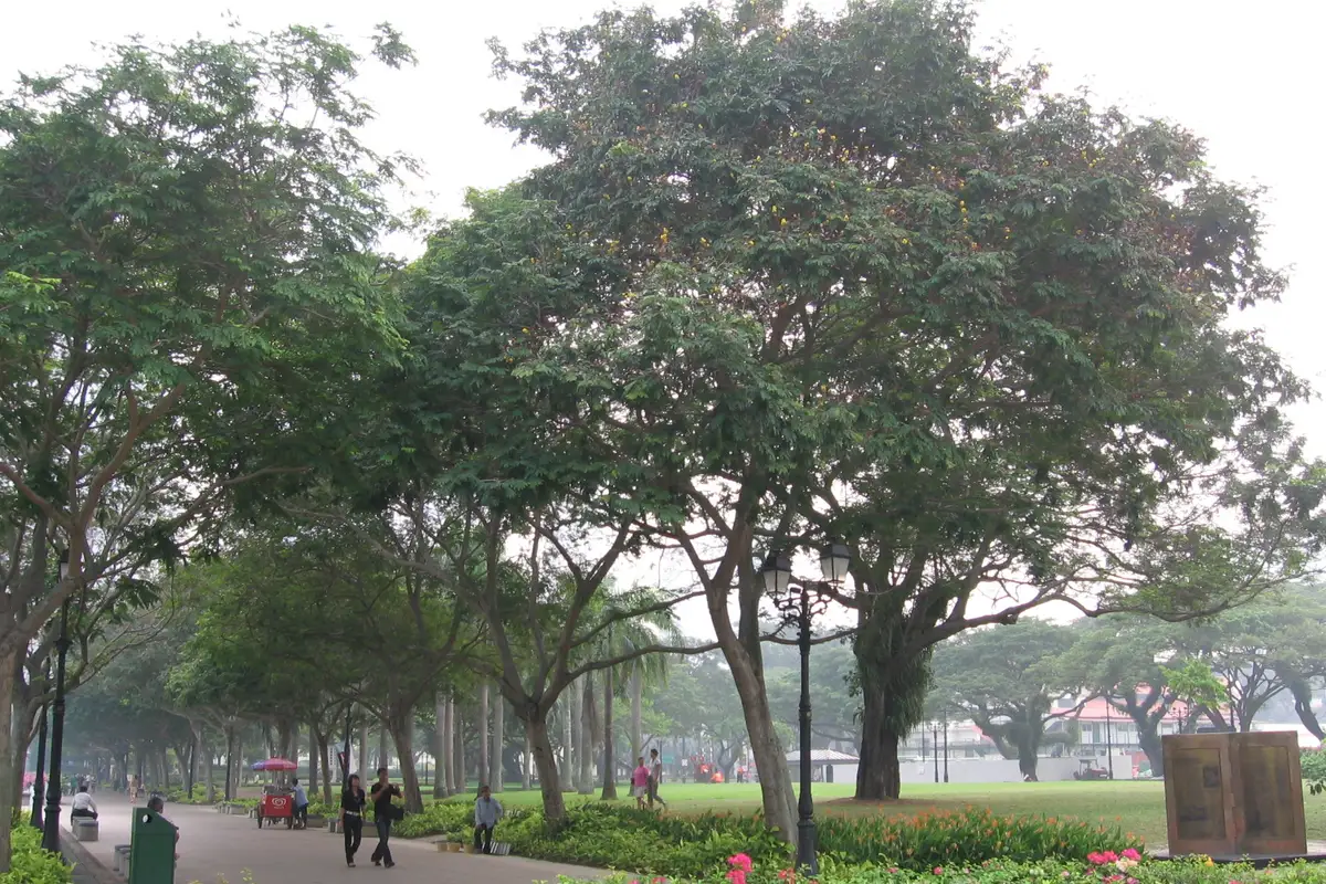 Esplanade Park, Singapore